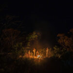 Evenings Northern Territory