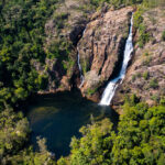 Kakadu Australia