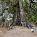 Marabout ceremony