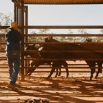 Northern Territory Australia