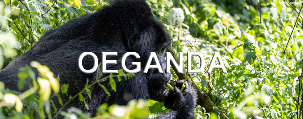 Oeganda