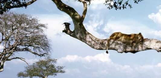 Queen Elizabeth National Park Queen Elizabeth Oeganda