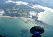 Freefall over the Coral Edge Skydive above Mission Beach