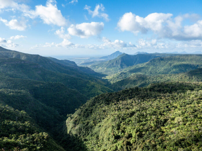 Black River Gorges National Park