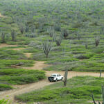 Bonaire nationaal park