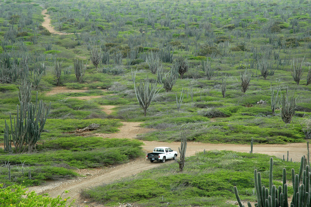 Bonaire nationaal park