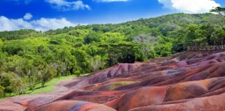 Chamarel Mauritius: kleurrijke natuur, watervallen en verborgen magie Chamarel Mauritius