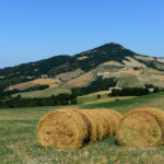 Italie