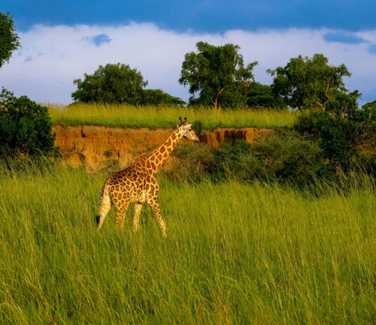 Kidepo Valley National Park Kidepo Valley National Park