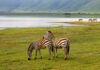 Lake Mburo National Park Lake Mburo Oeganda