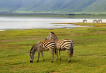Lake Mburo National Park Lake Mburo Oeganda