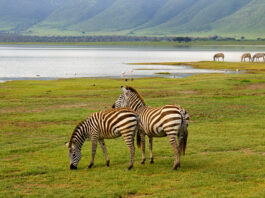 Lake Mburo National Park Lake Mburo Oeganda