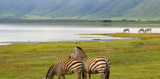 Lake Mburo National Park Lake Mburo Oeganda