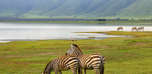Lake Mburo National Park Lake Mburo Oeganda