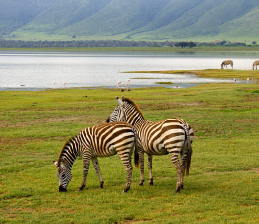 Lake Mburo National Park Lake Mburo Oeganda