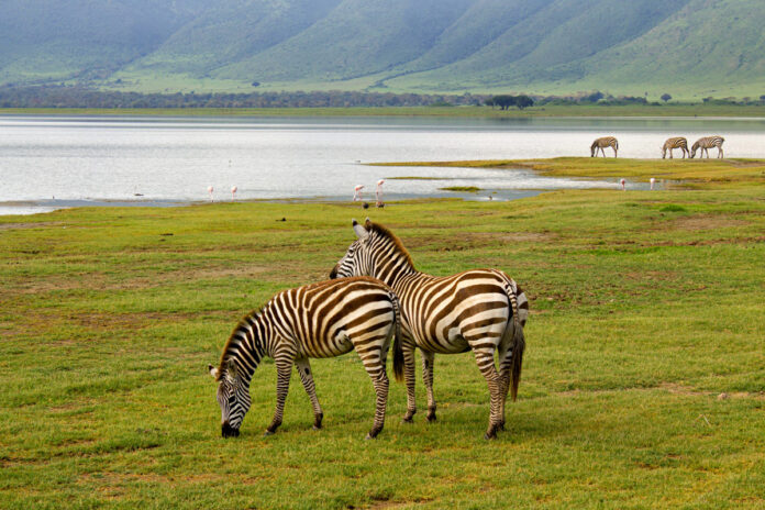 Lake Mburo Oeganda
