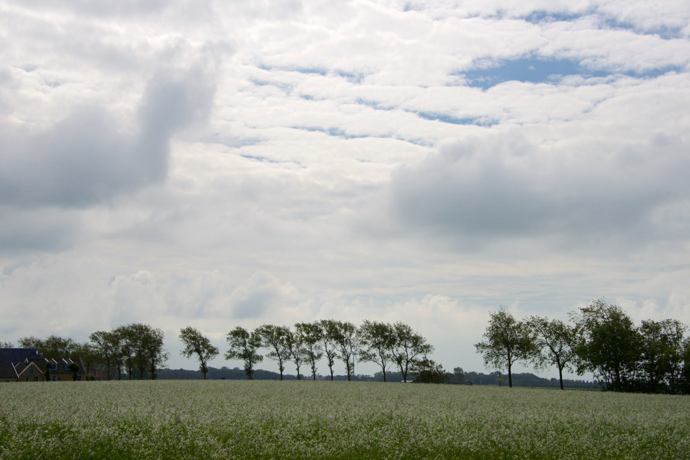 Holwerd Stunningtravel
