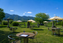 Beneath Fuji’s shadow, a wine culture finds its own voice Japanese wine