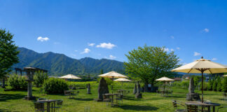 Beneath Fuji’s shadow, a wine culture finds its own voice Japanese wine