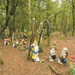 Kabouterbos Galerij Zuid