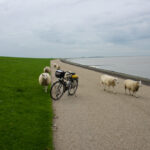Leven langs de dijk