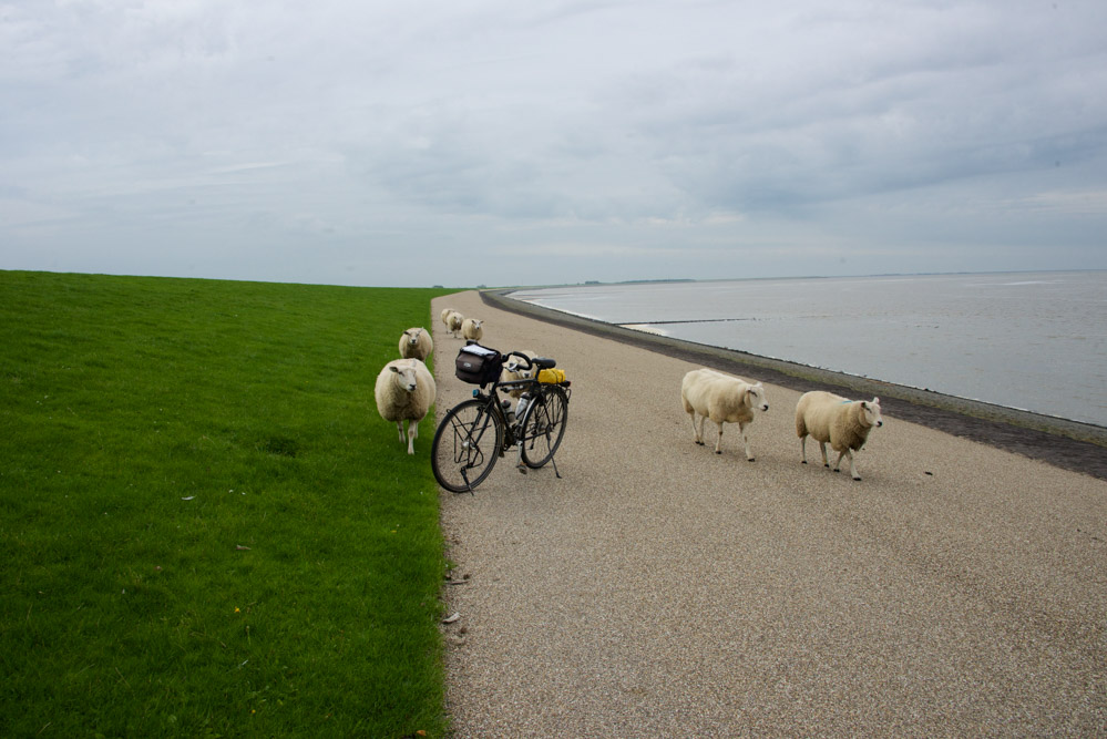 Leven langs de dijk