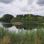 Natuurpark Lelystad boot
