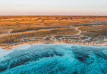 Beneath the blue: Swimming with whale sharks at Ningaloo Reef Ningaloo kustlijn