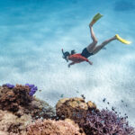 Osprey Bay snorkelen Ningaloo