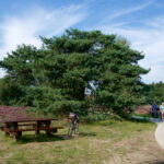 Renderklippen route Epe – Heerde – Oene