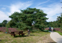 Renderklippenroute op de Veluwe Renderklippen Epe - Heerde - Oene