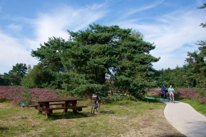 Renderklippen route Epe - Heerde - Oene Renderklippen Epe - Heerde - Oene