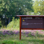Renderklippenroute Epe – Heerde – Oene