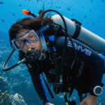 The slow return of Curaçao’s coral me