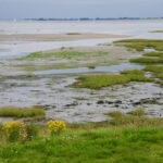 Tholen Zeeland fietsen