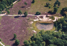 Het Zandenbos een oase van rust en natuur Zandenbos Waschkolk
