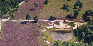 Het Zandenbos een oase van rust en natuur Zandenbos Waschkolk