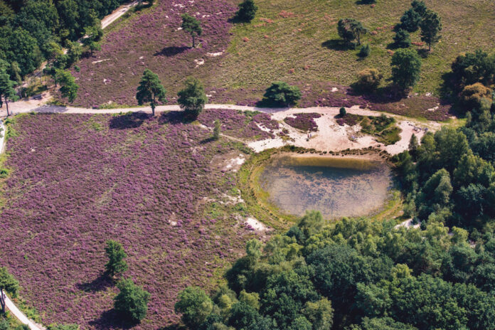 Zandenbos Waschkolk